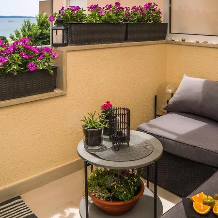 Summer Dreams * سبليت