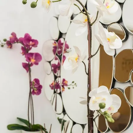 شقة Summer Dreams *