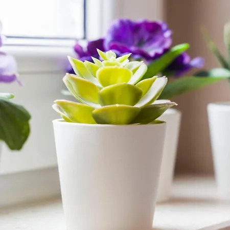 Summer Dreams Apartman Split